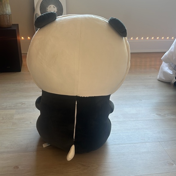 Boba Dog - Picture 3 of 4